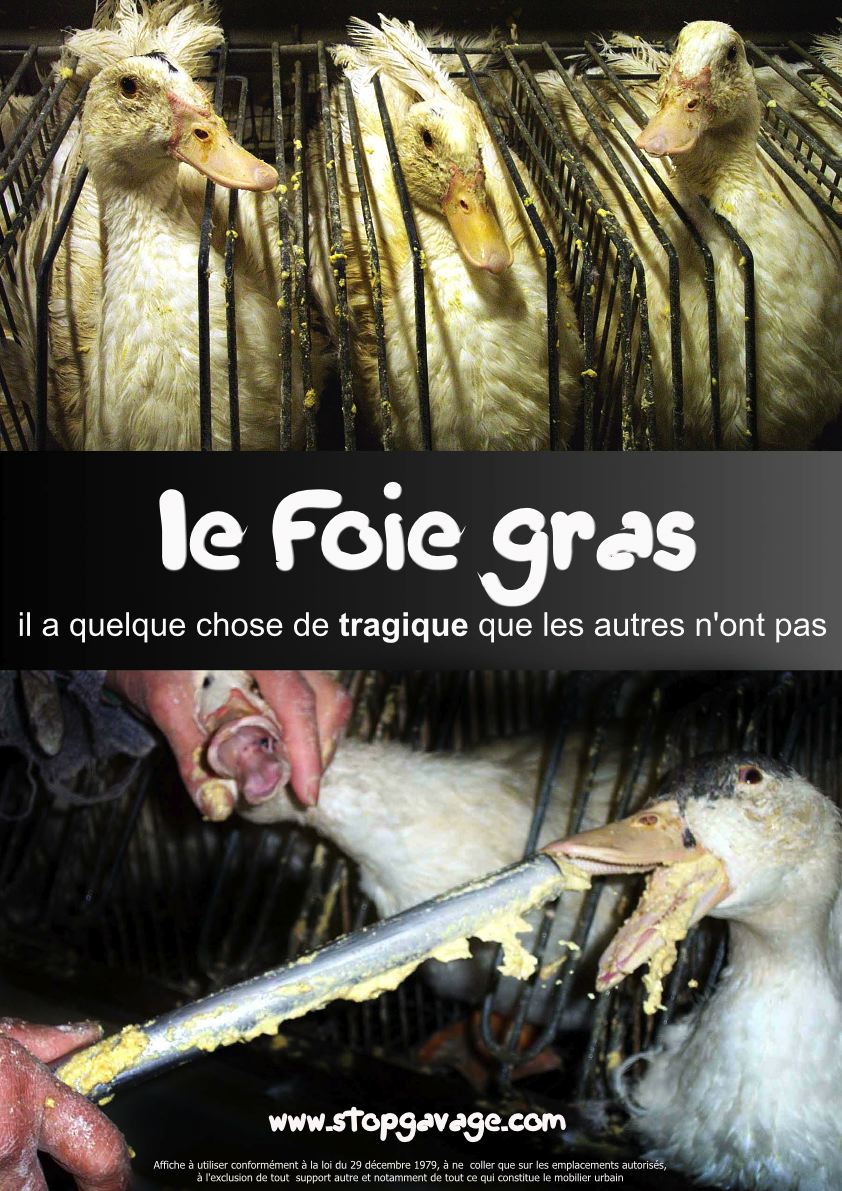 foie_grass