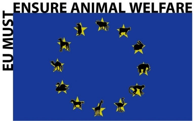 The Panhellenic Animal Welfare and Environment Federation addressed to the  European Commission for the abuse of animals in Greece. – 